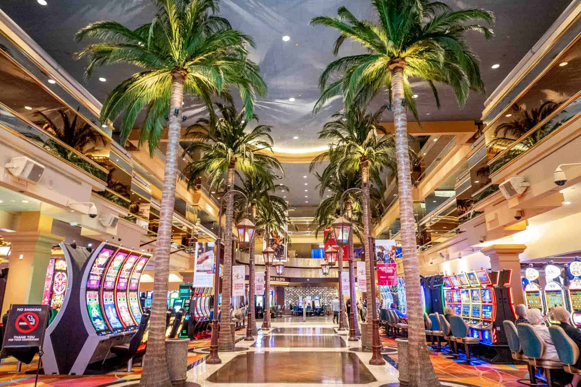 Tulipbet 250₺ Freebet Çekilişi